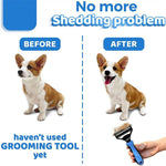 Grooming Brush For Pet Dog & Cat