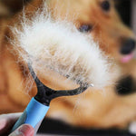 Grooming Brush For Pet Dog & Cat